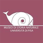 Museo di Storia Naturale dell'Università di Pisa - UNIPI