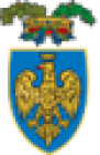 Provincia di Udine - Udine (UD)